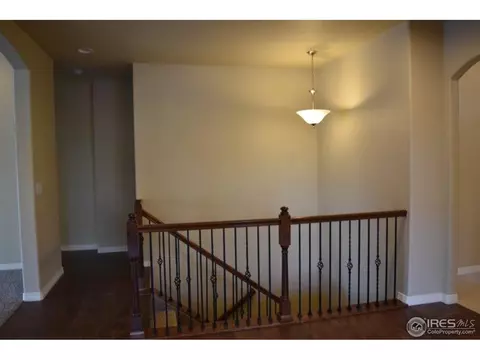 5543 Bexley Dr, Windsor, CO 80550 photo 6