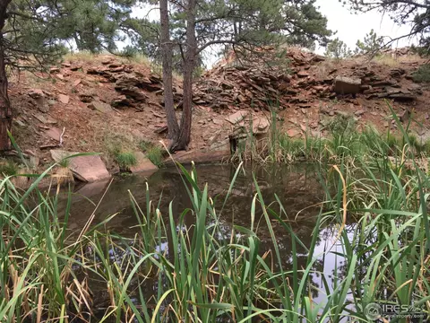 1120 Lewis Ln, Lyons, CO 80540 photo 19