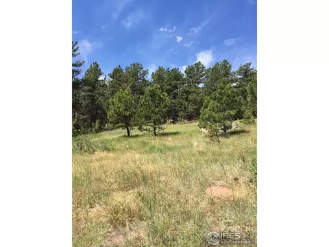 1120 Lewis Ln, Lyons, CO 80540 photo 7