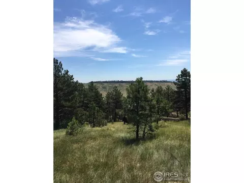 1120 Lewis Ln, Lyons, CO 80540 photo 6