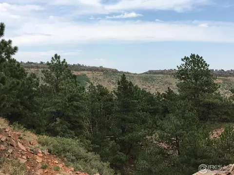 1120 Lewis Ln, Lyons, CO 80540 photo 15