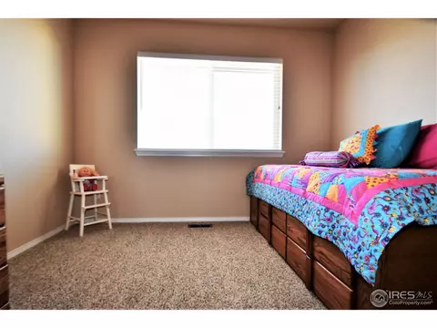 1949 E 167th Ave, Thornton, CO 80602 photo 35
