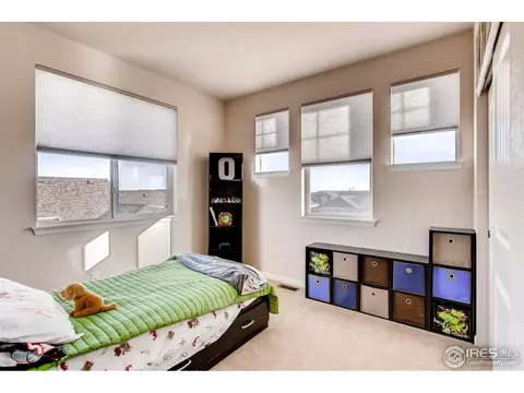 5621 Mid Pointe Dr, Windsor, CO 80550 photo 24