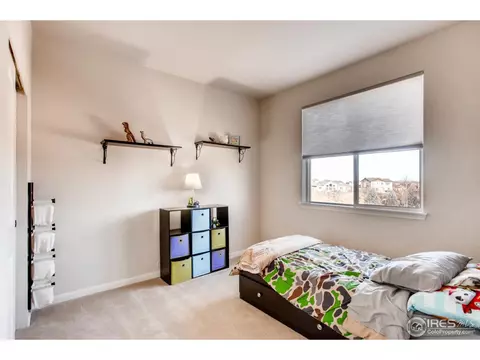 5621 Mid Pointe Dr, Windsor, CO 80550 photo 20
