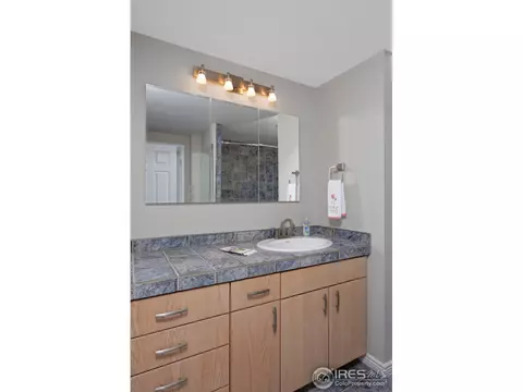 7463 Old Mill Trl, Boulder, CO 80301 photo 30