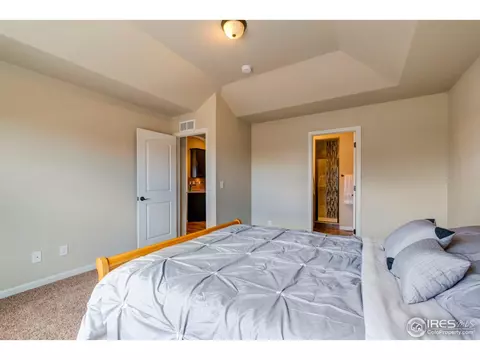 733 Blue Jay Dr, Severance, CO 80550 photo 18