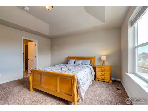 733 Blue Jay Dr, Severance, CO 80550 photo 17