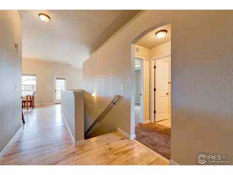 733 Blue Jay Dr, Severance, CO 80550 photo 28