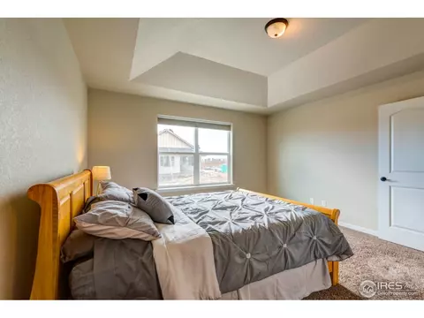 733 Blue Jay Dr, Severance, CO 80550 photo 19