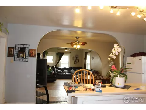 110 Elm St, Windsor, CO 80550 photo 9