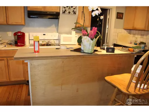 110 Elm St, Windsor, CO 80550 photo 17