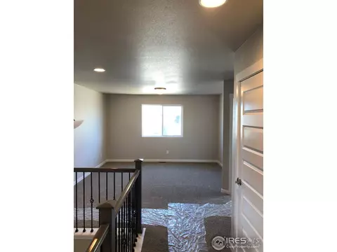 5863 Carmon Dr, Windsor, CO 80550 photo 3