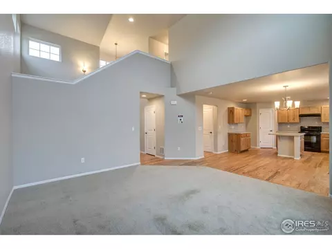 228 Mt Harvard Ave, Severance, CO 80550 photo 13