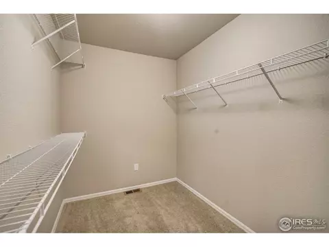 228 Mt Harvard Ave, Severance, CO 80550 photo 18