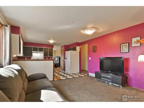 1401 Willow Dr, Berthoud, CO 80513 photo 5