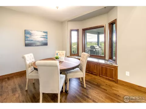 5231 Hialeah Dr, Windsor, CO 80550 photo 13