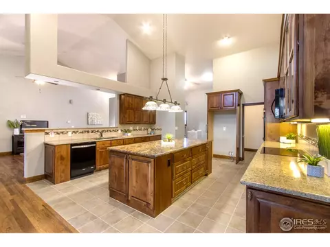 5231 Hialeah Dr, Windsor, CO 80550 photo 15