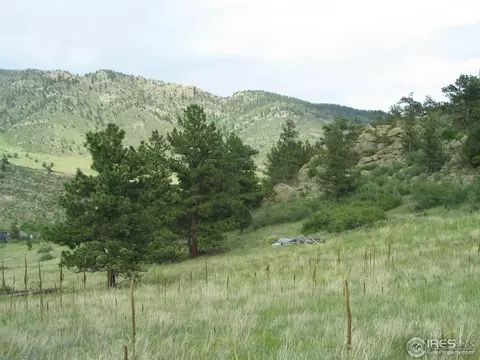 652 Gray Mountain Dr, Lyons, CO 80540 photo 9