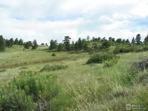 652 Gray Mountain Dr, Lyons, CO 80540 photo 5