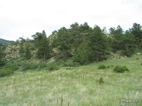 652 Gray Mountain Dr, Lyons, CO 80540 photo 2