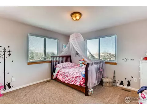 6617 Saddleback Ave, Firestone, CO 80504 photo 26