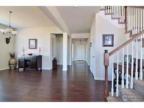 109 Ibiza Ct, Windsor, CO 80550 photo 18