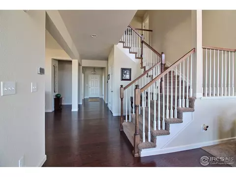 109 Ibiza Ct, Windsor, CO 80550 photo 25