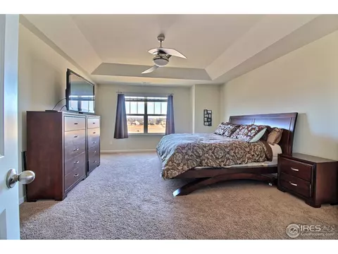 109 Ibiza Ct, Windsor, CO 80550 photo 27