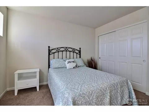 109 Ibiza Ct, Windsor, CO 80550 photo 33