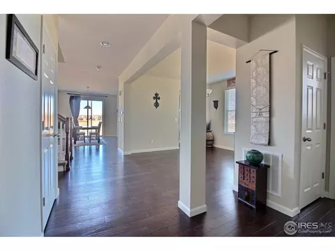 109 Ibiza Ct, Windsor, CO 80550 photo 19