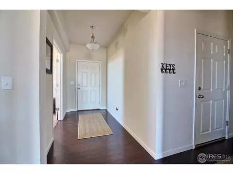 109 Ibiza Ct, Windsor, CO 80550 photo 22