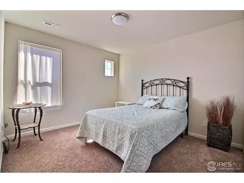 109 Ibiza Ct, Windsor, CO 80550 photo 32