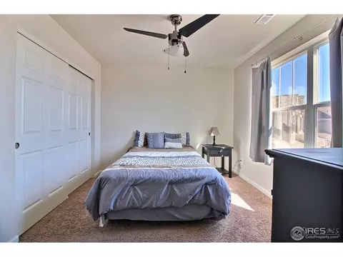 109 Ibiza Ct, Windsor, CO 80550 photo 35