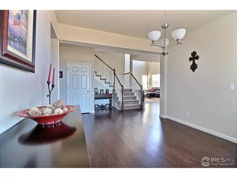 109 Ibiza Ct, Windsor, CO 80550 photo 16