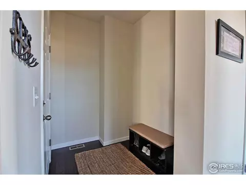 109 Ibiza Ct, Windsor, CO 80550 photo 23