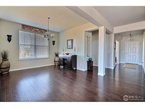 109 Ibiza Ct, Windsor, CO 80550 photo 15