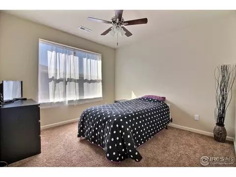 109 Ibiza Ct, Windsor, CO 80550 photo 36