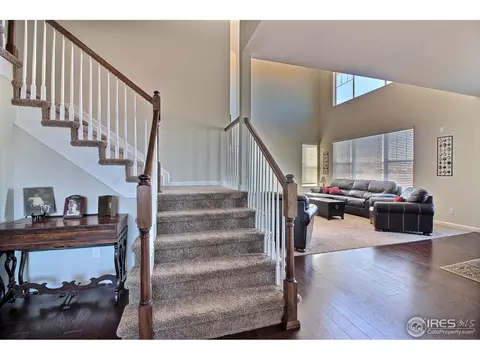 109 Ibiza Ct, Windsor, CO 80550 photo 26