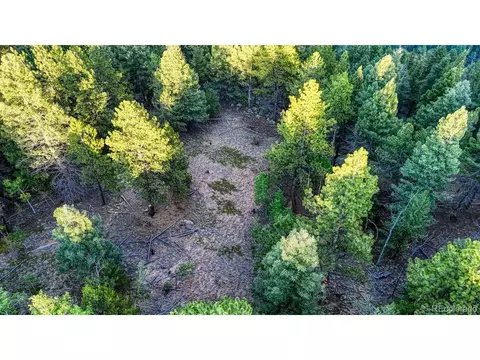 364 Blue Spruce Rd, Divide, CO 80814 photo 3