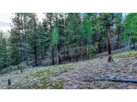 364 Blue Spruce Rd, Divide, CO 80814 photo 5