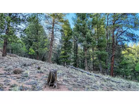 364 Blue Spruce Rd, Divide, CO 80814 photo 13