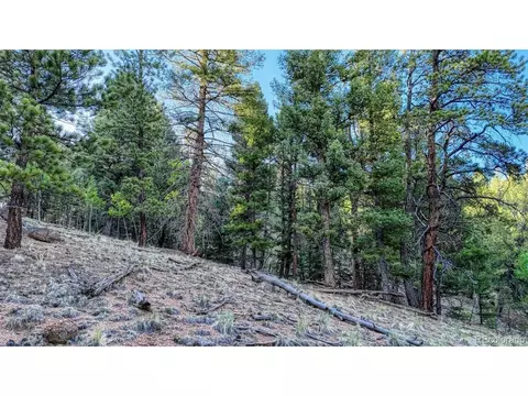 364 Blue Spruce Rd, Divide, CO 80814 photo 12