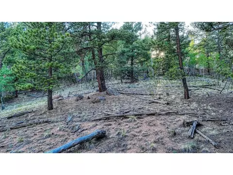 364 Blue Spruce Rd, Divide, CO 80814 photo 6