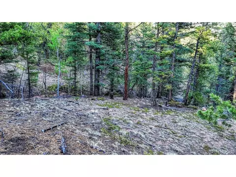 364 Blue Spruce Rd, Divide, CO 80814 photo 8
