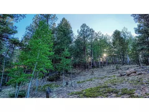 364 Blue Spruce Rd, Divide, CO 80814 photo 10