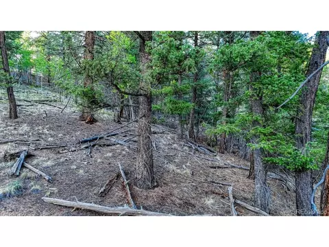 364 Blue Spruce Rd, Divide, CO 80814 photo 7