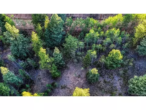 364 Blue Spruce Rd, Divide, CO 80814 photo 4