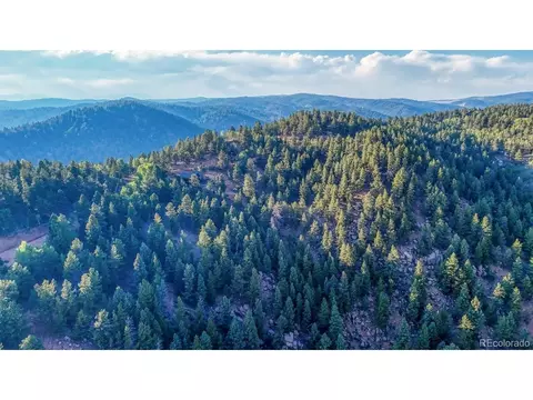 364 Blue Spruce Rd, Divide, CO 80814 photo 20