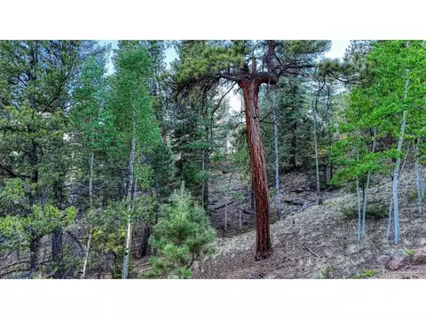 364 Blue Spruce Rd, Divide, CO 80814 photo 9