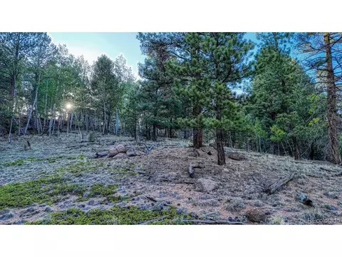 364 Blue Spruce Rd, Divide, CO 80814 photo 11